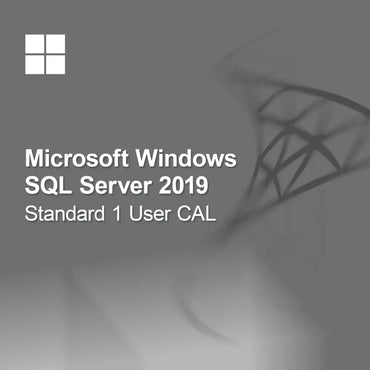 Microsoft SQL Server 2019 Standard 1 Usuario CAL