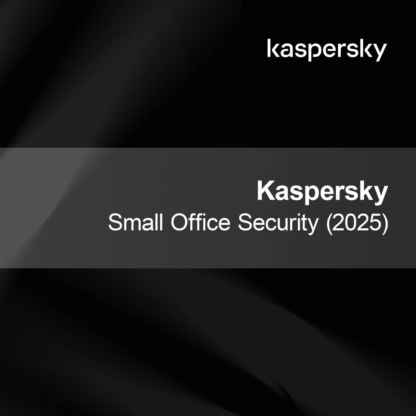 Kaspersky Seguridad para Pequeñas Oficinas (2025)